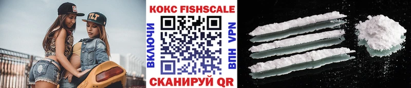 COCAIN Fish Scale купить Дедовск