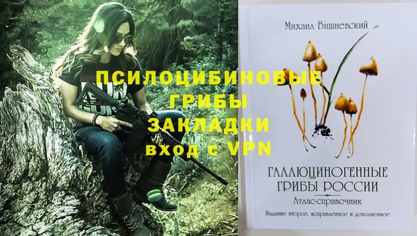 меф Медвежьегорск