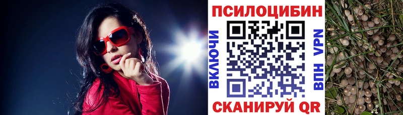Галлюциногенные грибы мухоморы Дедовск