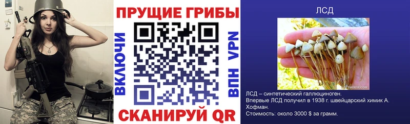 Галлюциногенные грибы Magic Shrooms  закладки  Дедовск 
