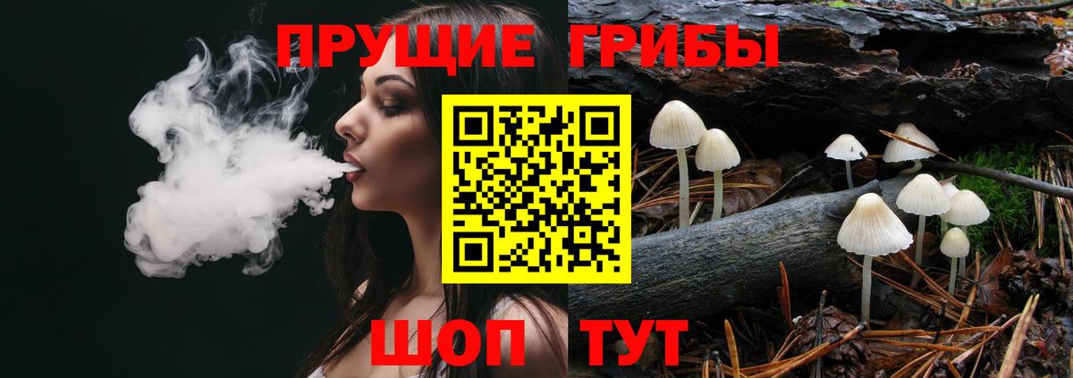 Псилоцибиновые грибы мухоморы  продажа наркотиков  Псилоцибиновые грибы мухоморы  Дедовск 