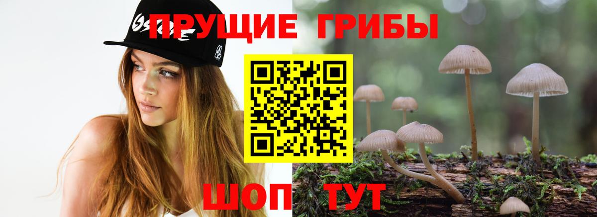 Галлюциногенные грибы Magic Shrooms  Вход с VPN  Дедовск 