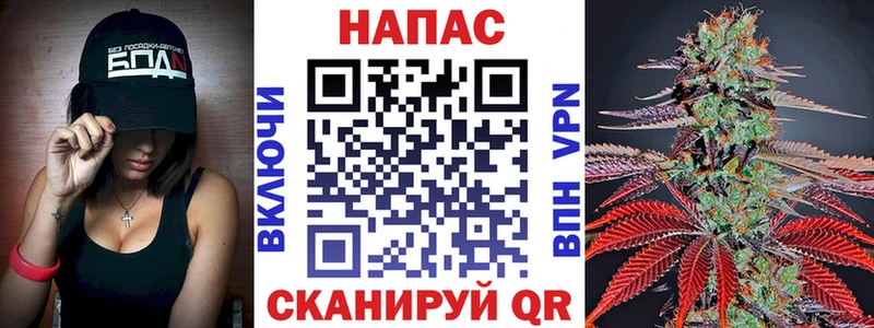 Бошки Шишки гибрид  Дедовск 